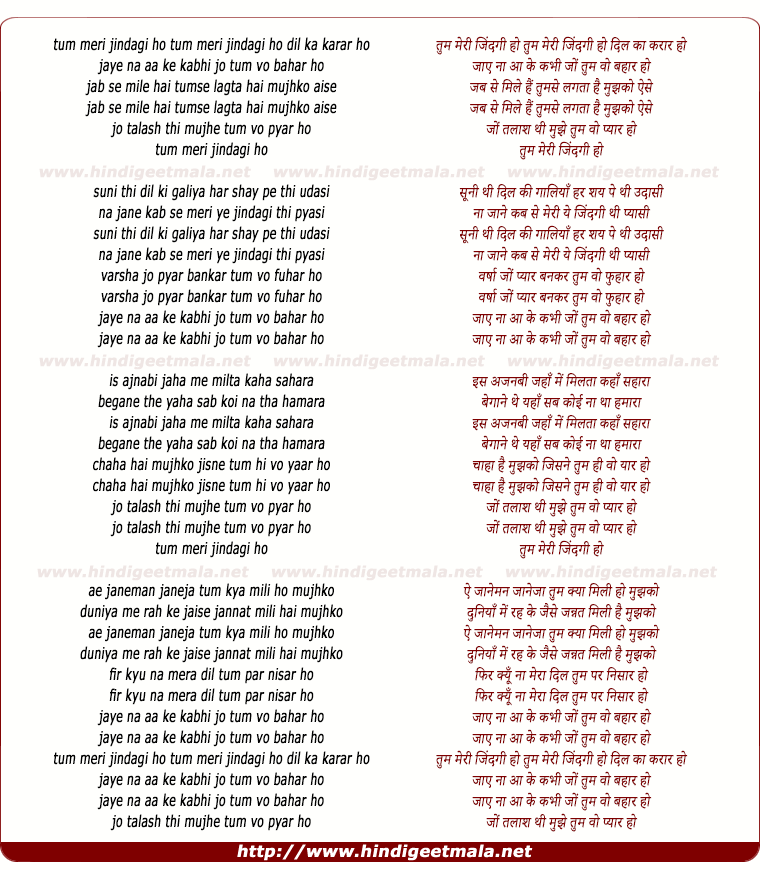 lyrics of song Tum Meri Zindagi Ho
