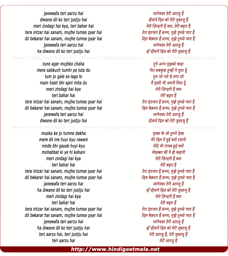 lyrics of song Jaane Wafaa Teri Aarzoo Hai (Male)