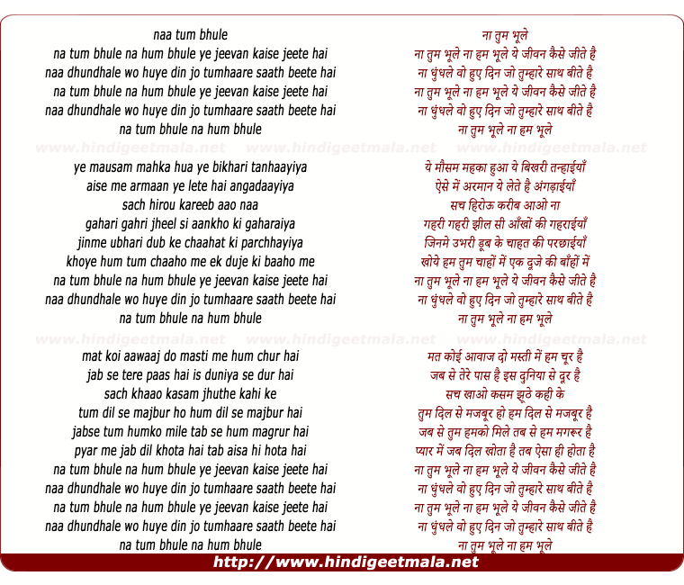 lyrics of song Na Tum Bhoole Na Hum Bhoole