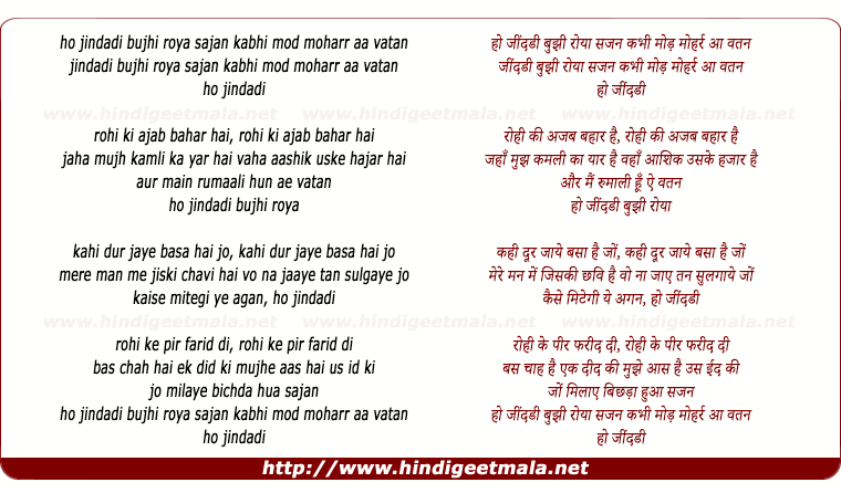 lyrics of song Rohi