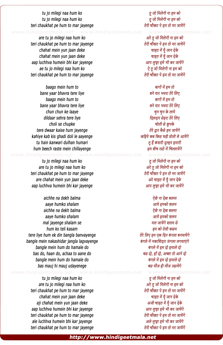 lyrics of song Tu Jo Milegi Naa Hum Ko