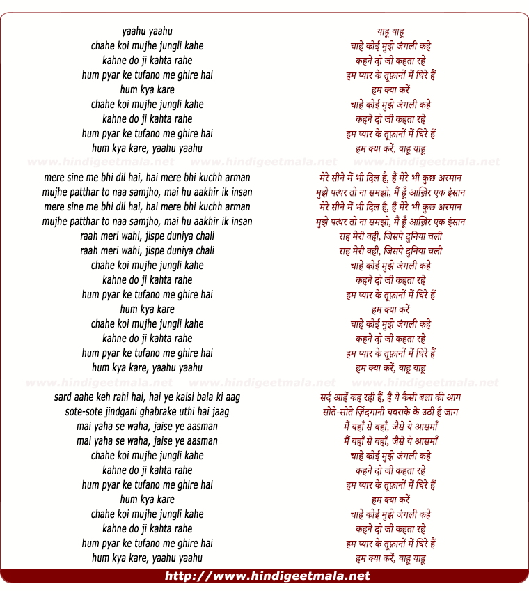 lyrics of song Yahu Chahe Koi Mujhe Junglee Kahe