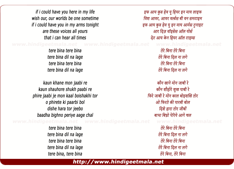lyrics of song Tere Bina Dil Naa Lage
