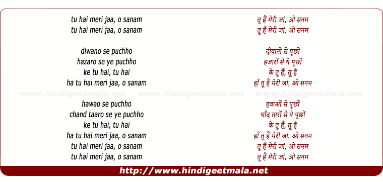 lyrics of song Tu Hai Meri Jaan