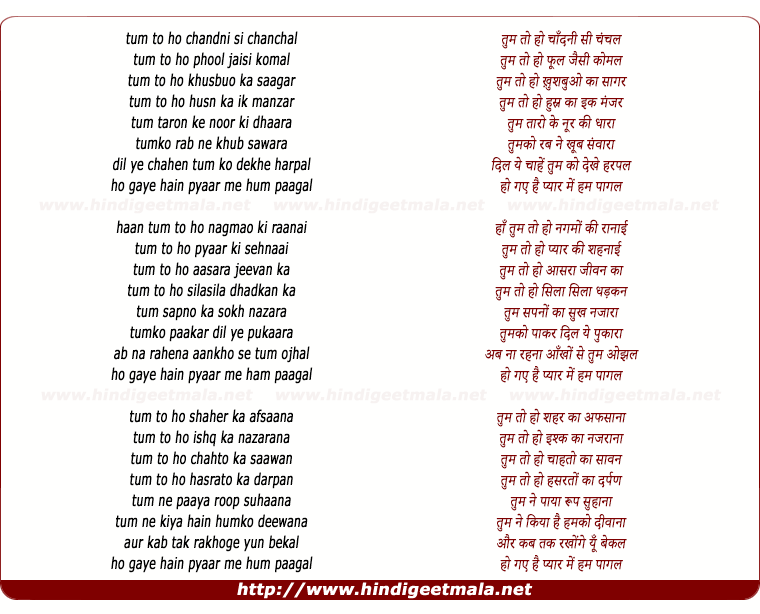 lyrics of song Tum To Ho Chandni Se Chanchal