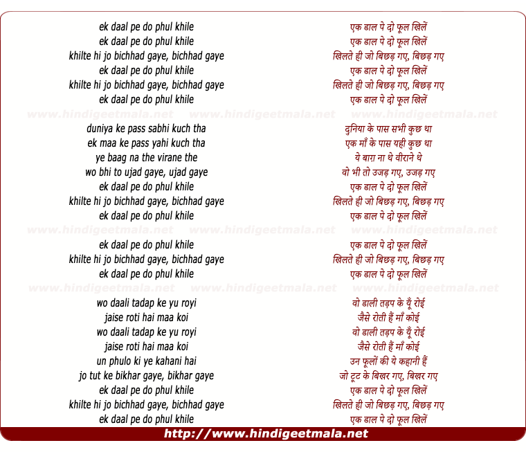 lyrics of song Ek Daal Peh Do Phool Khile