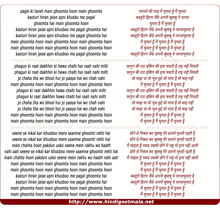 lyrics of song Main Ghumta Hoon