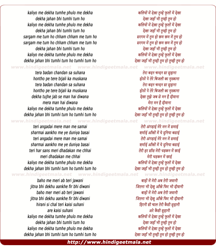 lyrics of song Kaliyo Me Dekha Tumhe, Phulo Me Dekha