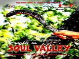 2 Nights In Soul Valley (2012)