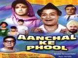 Aanchal Ke Phool