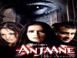 Anjaane (2005)