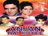 Anjan Hai Koyee (1969)