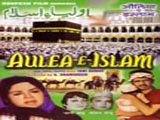 Aulia-e-islam