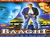Baaghi (2000)