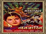 Banjaarin (1960)