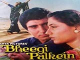 Bheegi Palkein