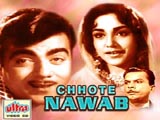 Chhote Nawab