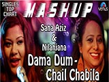 Dama Dum - Chail Chabila (Mashup) (2016)