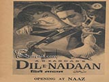 Dil - E - Nadan