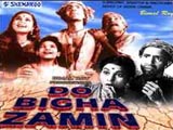 Do Bigha Zamin (1953)