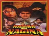 Hasina Aur Nagina