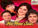 Haye Meri Jaan (1991)