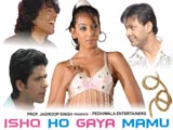 Ishq Ho Gaya Mamu (2010)