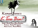 K Tere Bin (Album)