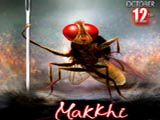 Makkhi