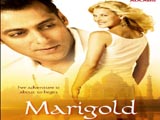 Marigold