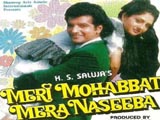 Meri Mohabbat Mera Naseeba (1995)