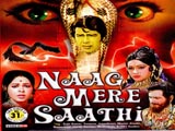 Naag Mere Saathi