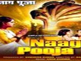 Naag Pooja (1971)