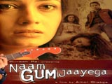 Naam Gum Jaayega (2005)