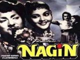 Nagin