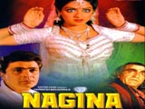 Nagina