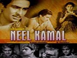 Neel Kamal