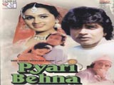 Pyari Behna