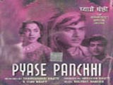 Pyase Panchhi