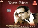 Tere Bina (Abhijeet)