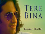 Tere Bina