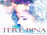 Tere Bina (Album)