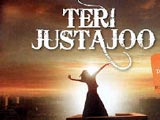 Teri Justajoo