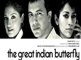 The Great Indian Butterfly