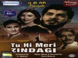 Tu Hi Meri Zindagi (1965)