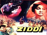 Ziddi