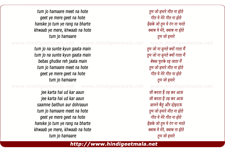 lyrics of song Tum Jo Hamare Meet Na Hote