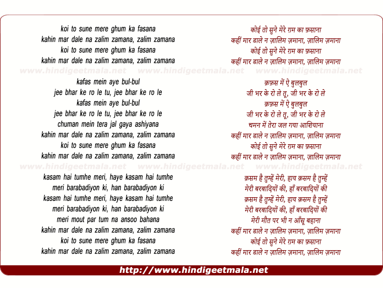 lyrics of song Koi To Sune Mere