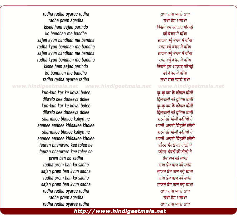 lyrics of song Radha Radha Pyari Radha