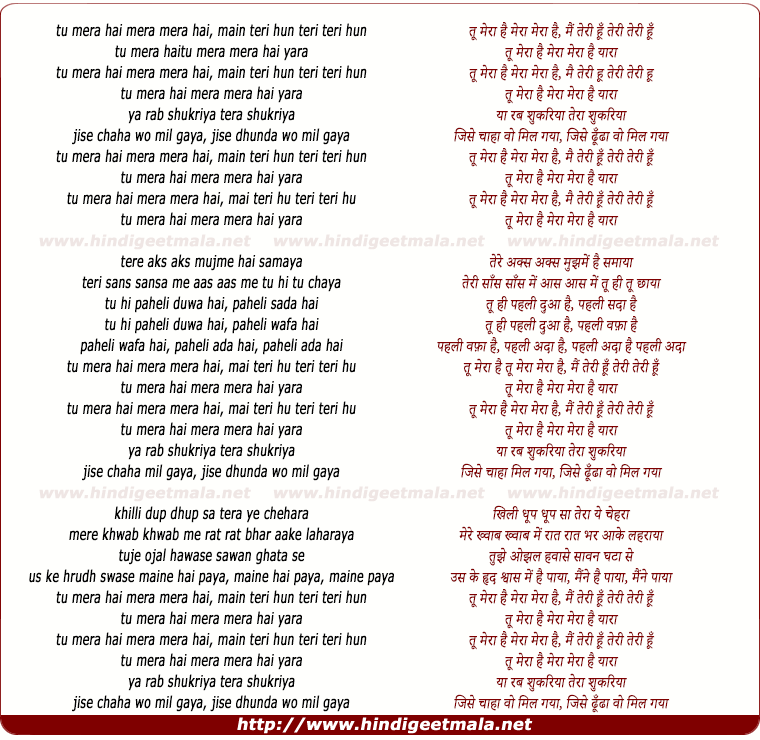 lyrics of song Tu Mera Hai